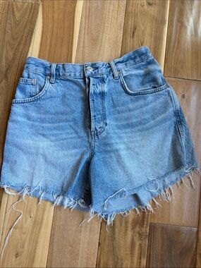 We The Free Light Blue Cutoff Denim Shorts